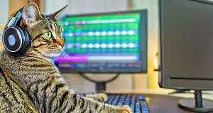 Превью Nvidia представила Fugatto