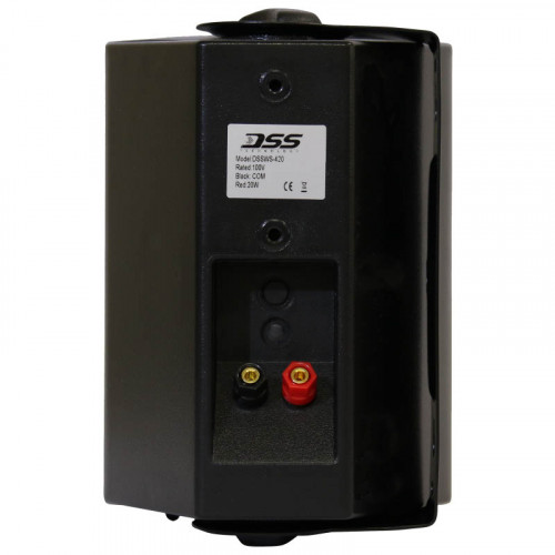 DSSWS-420 Двухполосный настенный громкоговоритель превью 4