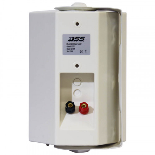 DSSWS-420W Двухполосный настенный громкоговоритель превью 2