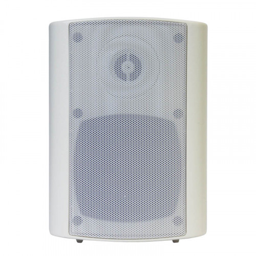 DSSWS-420W Двухполосный настенный громкоговоритель превью 4