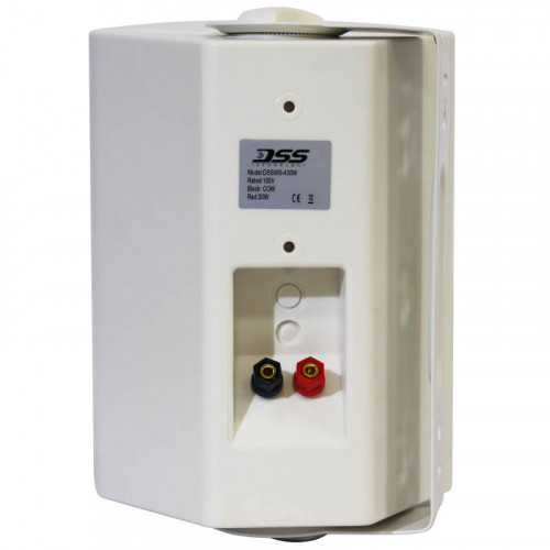 DSSWS-430W Двухполосный настенный громкоговоритель превью 2