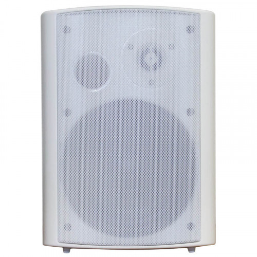 DSSWS-440W Двухполосный настенный громкоговоритель превью 2