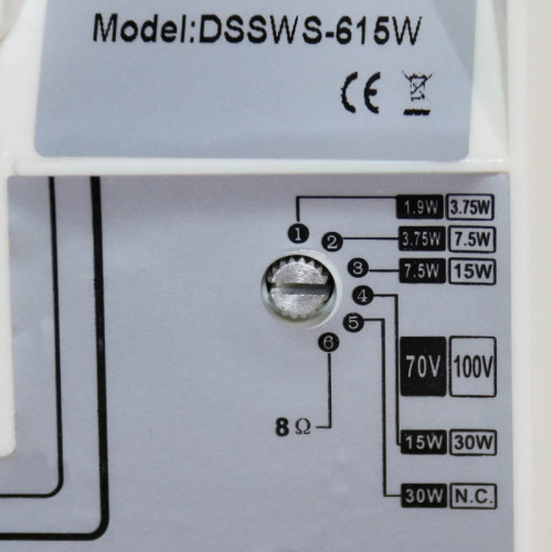 DSSWS-615W Настенный громкоговоритель для помещений и улиц превью 2